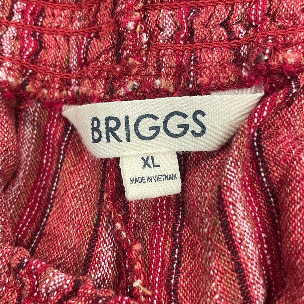 Briggs size extra large XL pull on shorts - Picture 8 of 9
